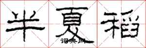 柯春海半夏稻隸書怎么寫
