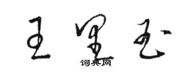 駱恆光王里玉草書個性簽名怎么寫