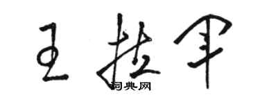 駱恆光王拉軍草書個性簽名怎么寫