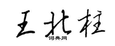 王正良王北柱行書個性簽名怎么寫