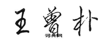 駱恆光王曾樸行書個性簽名怎么寫