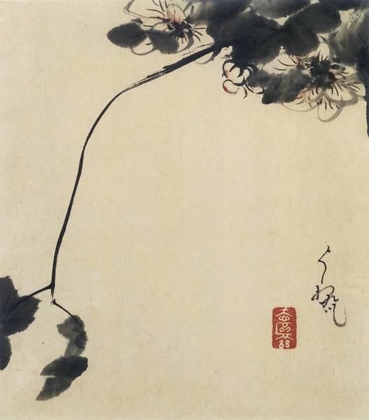 八大山人晚年作《安晚冊》