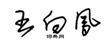 朱錫榮王向鳳草書個性簽名怎么寫