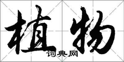 胡問遂植物行書怎么寫