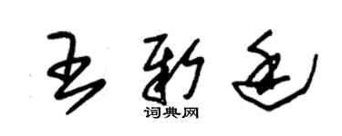 朱錫榮王新廷草書個性簽名怎么寫