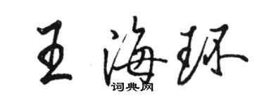 駱恆光王海環行書個性簽名怎么寫