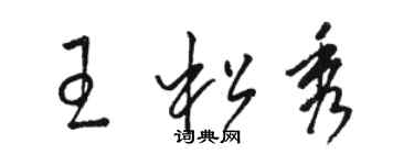 駱恆光王松秀草書個性簽名怎么寫