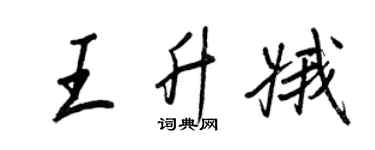 王正良王升娥行書個性簽名怎么寫