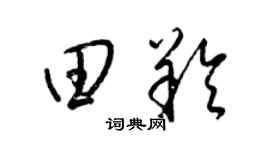 梁錦英田羚草書個性簽名怎么寫