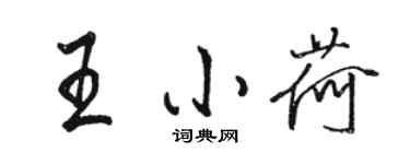 駱恆光王小荷行書個性簽名怎么寫