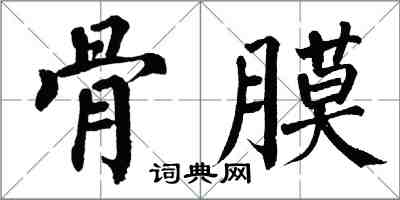 翁闓運骨膜楷書怎么寫