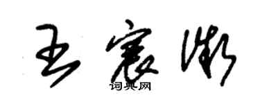 朱錫榮王宸微草書個性簽名怎么寫