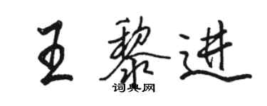 駱恆光王黎進行書個性簽名怎么寫