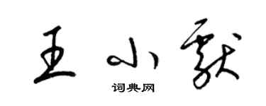 梁錦英王小獻草書個性簽名怎么寫