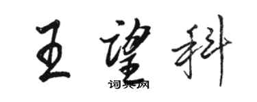 駱恆光王望科行書個性簽名怎么寫