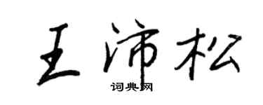 王正良王沛松行書個性簽名怎么寫