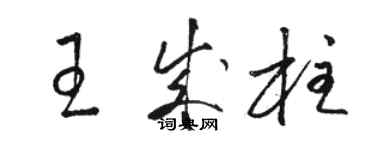 駱恆光王成柱草書個性簽名怎么寫