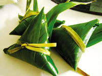 關於端午節的作文 端午節作文專題