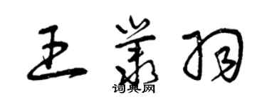 曾慶福王叢羽草書個性簽名怎么寫