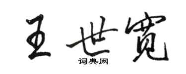 駱恆光王世寬行書個性簽名怎么寫