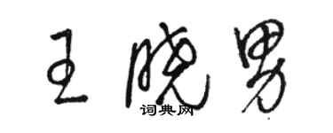 駱恆光王曉男草書個性簽名怎么寫
