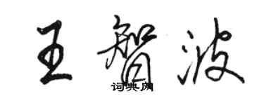 駱恆光王智波行書個性簽名怎么寫