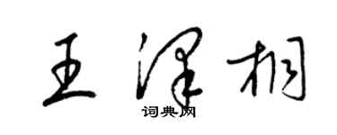 梁錦英王澤桐草書個性簽名怎么寫