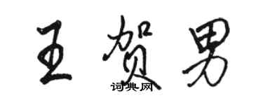 駱恆光王賀男行書個性簽名怎么寫