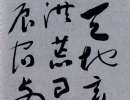 徐渭草書書法作品欣賞_徐渭草書字帖(第17頁)_書法字典