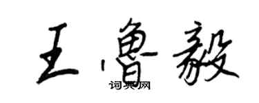 王正良王魯毅行書個性簽名怎么寫