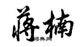 胡問遂蔣楠行書個性簽名怎么寫