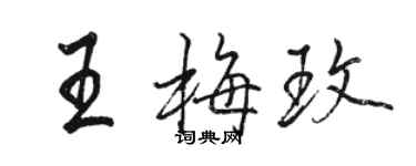 駱恆光王梅玫行書個性簽名怎么寫