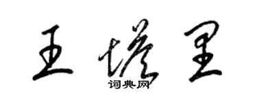 梁錦英王塔里草書個性簽名怎么寫