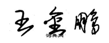 朱錫榮王金鵬草書個性簽名怎么寫