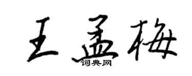 王正良王孟梅行書個性簽名怎么寫
