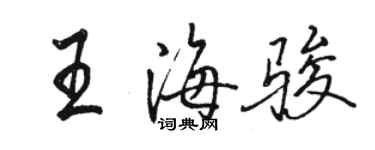 駱恆光王海駿行書個性簽名怎么寫