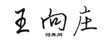 駱恆光王向莊行書個性簽名怎么寫