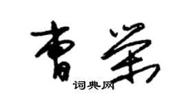 朱錫榮曹榮草書個性簽名怎么寫