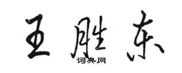 駱恆光王勝東行書個性簽名怎么寫