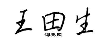 王正良王田生行書個性簽名怎么寫