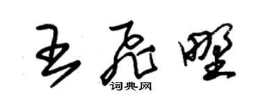 朱錫榮王飛野草書個性簽名怎么寫