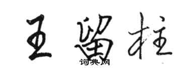 駱恆光王留柱行書個性簽名怎么寫