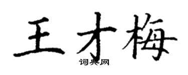 丁謙王才梅楷書個性簽名怎么寫