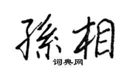 王正良孫相行書個性簽名怎么寫