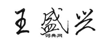 駱恆光王盛興行書個性簽名怎么寫