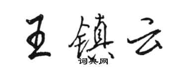 駱恆光王鎮雲行書個性簽名怎么寫