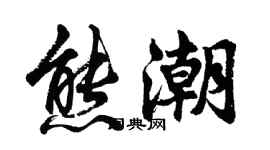 胡問遂熊潮行書個性簽名怎么寫