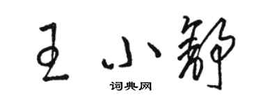 駱恆光王小舒草書個性簽名怎么寫