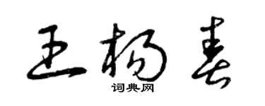 曾慶福王楊春草書個性簽名怎么寫