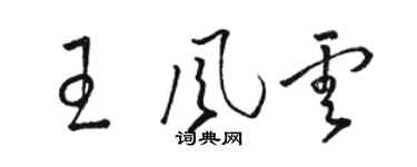 駱恆光王風雲草書個性簽名怎么寫